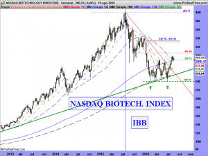 NASDAQ BIOTECHNOLOGY INDEX FUND