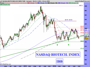 NASDAQ BIOTECHNOLOGY INDEX FUND